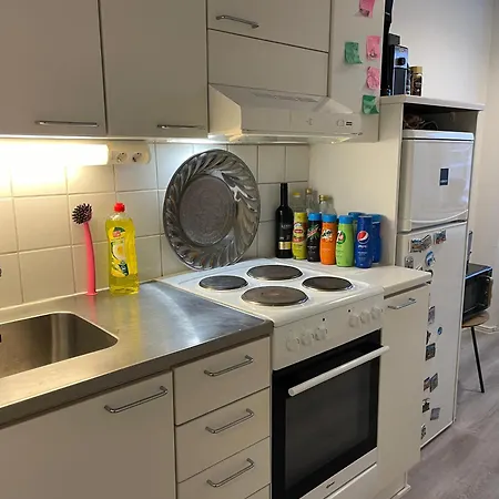 Apartment Helsinki شقة هلسنكي